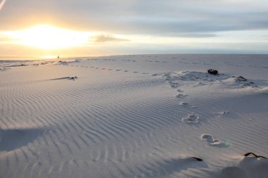 Kumdaki Cape Town Güney Afrika için gün batımında sahilde