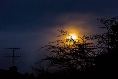 Güney Afrikalı bir oyun yedek Safari gün batımında dramatik manzarası