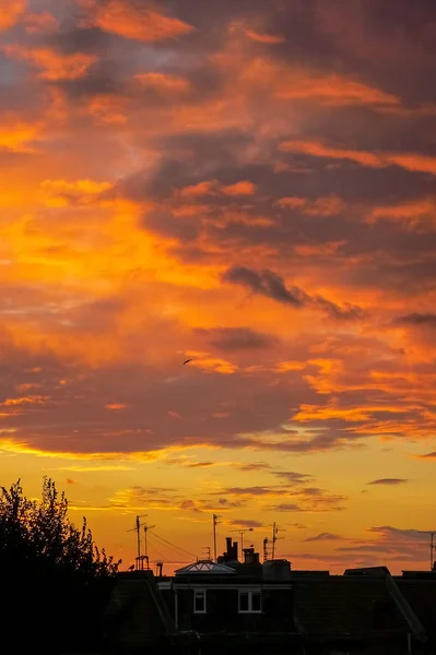 Silhouet Bomen Antennes Daken Een Engelse Stad Bij Zonsondergang — Stockfoto
