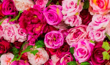 Pembe ve Mor Gül romantik Sevgililer günü çiçek ekran için