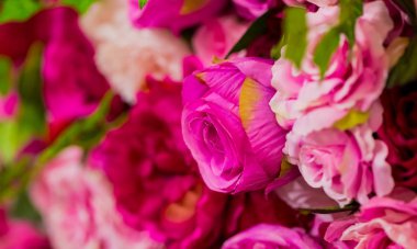 Pembe ve Mor Gül romantik Sevgililer günü çiçek ekran için