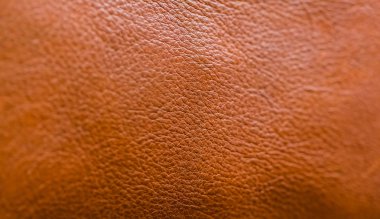 Makroyu kapat yumuşak odak parlak renkli doğal dokular desen oluşturan 