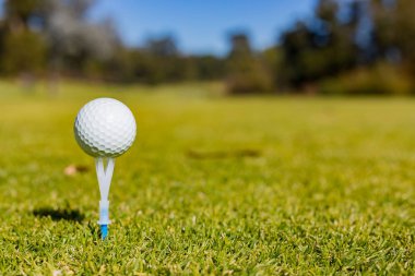 Makro yakın çekim üzerinde bir Tee Golf sahasında Golf topu