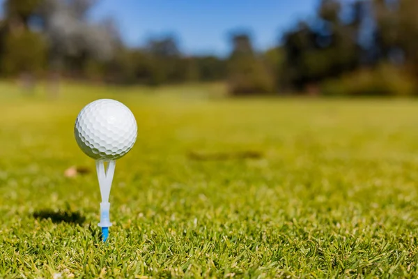 Makro Som Närbild Golfboll Tee Golfbana — Stockfoto