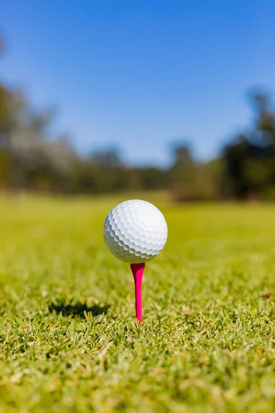 Macro Close Uma Bola Golfe Tee Campo Golfe — Fotografia de Stock