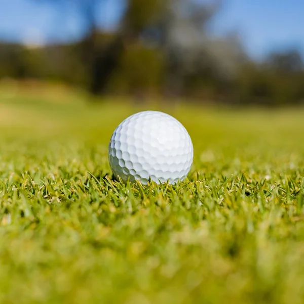 Primo Piano Una Palla Golf Fairway Green Campo Golf — Foto Stock