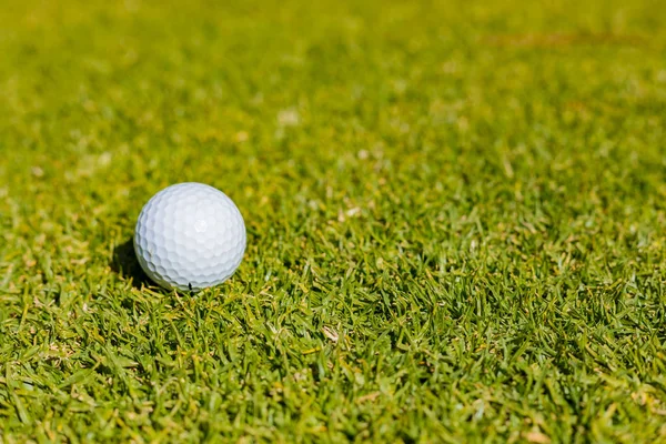 Närbild Golfboll Grön Fairway Golfbana — Stockfoto