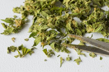 Kirpik taze esrar tıbbi esrar bırakır