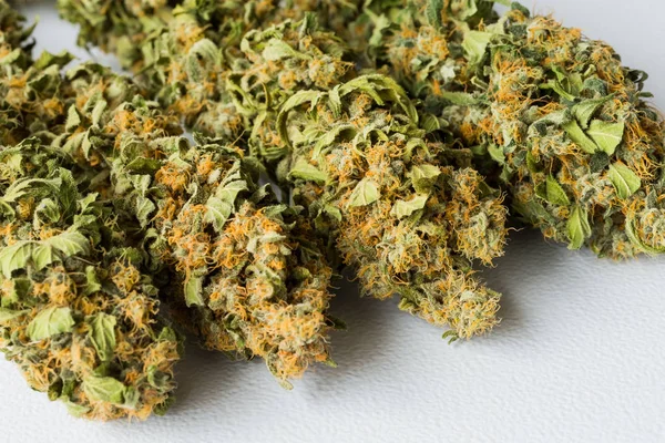 Makro Nahaufnahme Eines Getrockneten Cannabis Medizinischen Marihuanas Auf Weißem Hintergrund — Stockfoto