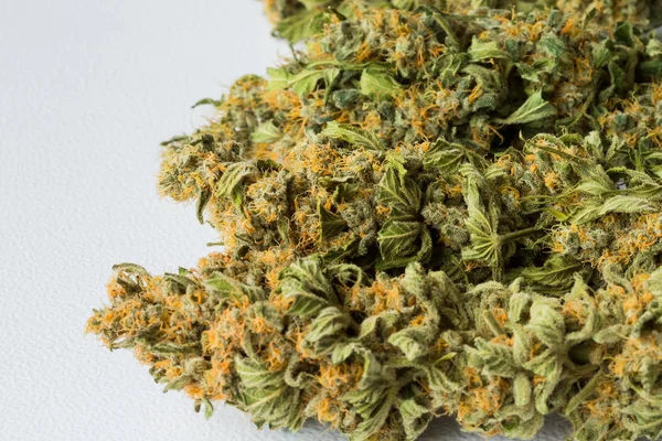 Makró Közelről Szárított Kannabisz Orvosi Marihuána Egy Fehér Háttér — Stock Fotó