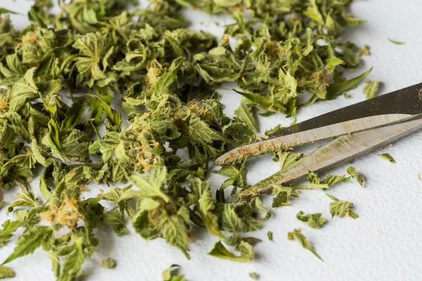 잘린된 신선한 마리화나 의료 마리화나 잎 — 스톡 사진
