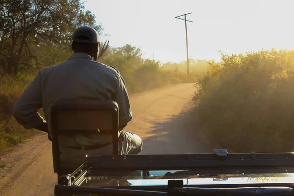 Hombre Silueta Rastreando Huellas Parte Delantera Vehículo Safari Una Reserva — Foto de Stock