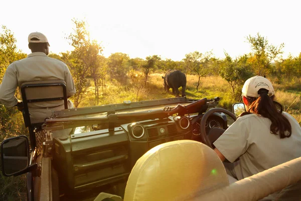 Guía Del Rastreador Conservación Sentado Parte Delantera Vehículo Safari Busca — Foto de Stock