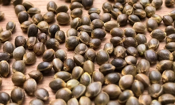 Macro Închiderea Semințelor Cânepă Canabis Fundal Din Lemn — Fotografie, imagine de stoc