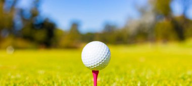 Makro yakın çekim üzerinde bir Tee Golf sahasında Golf topu