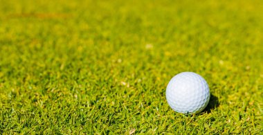 Fairway yeşil bir golf sahasında Golf topu yakın çekim