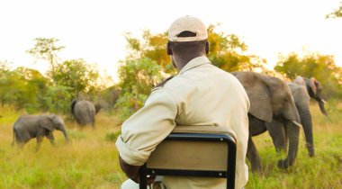 Safari izleme araç Güney Afrikalı bir oyun yedek