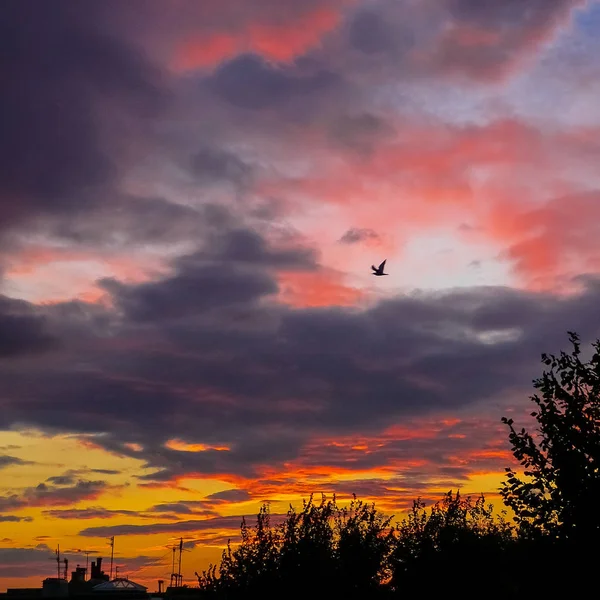 Brighton Ngiltere Kırmızı Turuncu Gökyüzü Bulutlar Ile Dramatik Kentsel Günbatımı — Stok fotoğraf