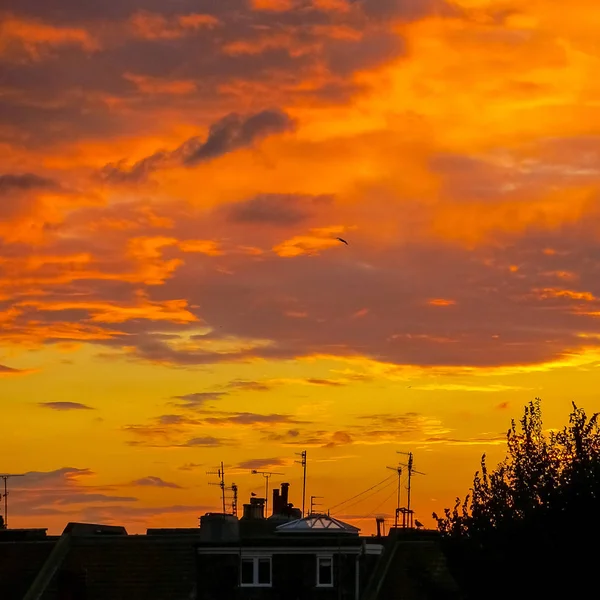 Dramatic Urban Sunset with clouds and red orange sky in Brighton UK