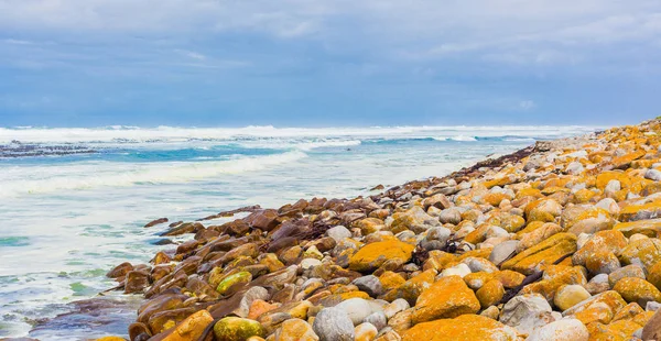 Zeewier Verspreid Een Rotsachtige Strand Kaapstad Zuid Afrika — Stockfoto