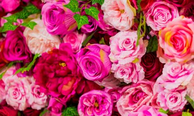 Pembe ve Mor Gül romantik Sevgililer günü çiçek ekran için