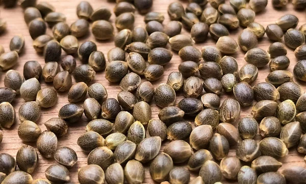 Macro Închiderea Semințelor Cânepă Canabis Fundal Din Lemn — Fotografie, imagine de stoc