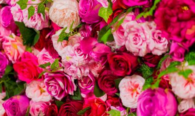 Pembe ve Mor Gül romantik Sevgililer günü çiçek ekran için