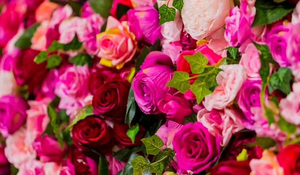 Pink and Purple Roses for Romantic Valentines Day