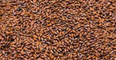 Yakın çekim kurutulmuş koyu siyah arpa Malt bira bira için bir çuval içinde