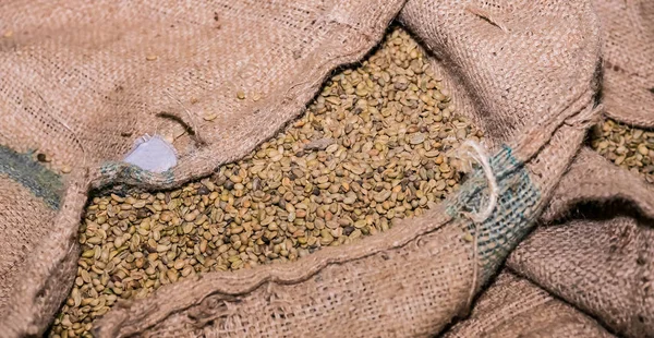 Grote Tassen Een Ruwe Koffiebonen Coffee Bean Sorteren Verwerken Een — Stockfoto