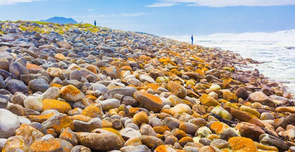 Zeewier Verspreid Een Rotsachtige Strand Kaapstad Zuid Afrika — Stockfoto