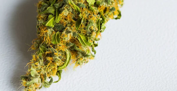 Makro Bliska Suszonych Roślin Konopi Marihuany Naciskiem Żywicznych Kwiat — Zdjęcie stockowe