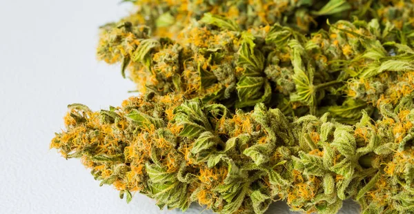 Makro Nahaufnahme Einer Getrockneten Cannabis Medizinischen Marihuanapflanze Mit Fokus Auf — Stockfoto