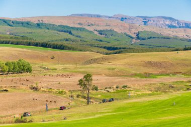 Harrismith, Güney Afrika - Ekim 02 2015: 4 x 4 sürücü eğitim kampı cipte Drakensberg de