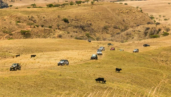 Harrismith Sudáfrica Octubre 2015 4X4 Mountain Path Entrenamiento Conductores Campamento —  Fotos de Stock