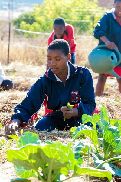 Johannesburg South Africa April 2009 School Children Learning Agriculture Farming — Stock Photo, Image