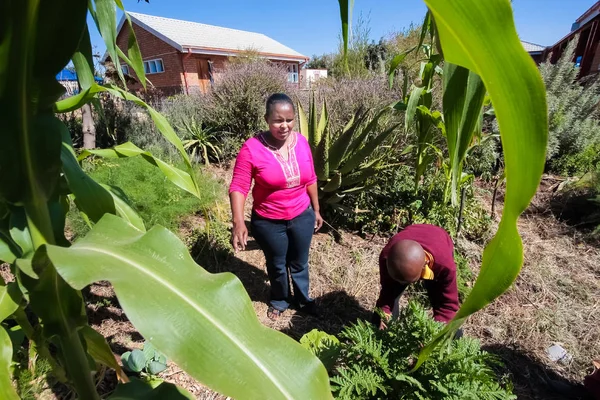 Dzieci Wieku Szkolnym Uczenia Się Rolnictwo Hodowla Johannesburg South Africa — Zdjęcie stockowe