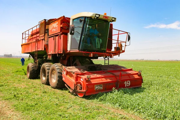 Johannesburg South Africa Жовтня 2010 Комерційне Pea Farming Combine Harvester — стокове фото