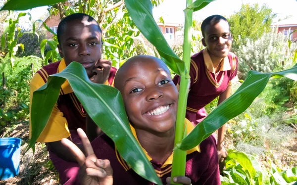 Johannesburg Zuid Afrika April 2009 Schoolgaande Kinderen Leren Landbouw Landbouw — Stockfoto