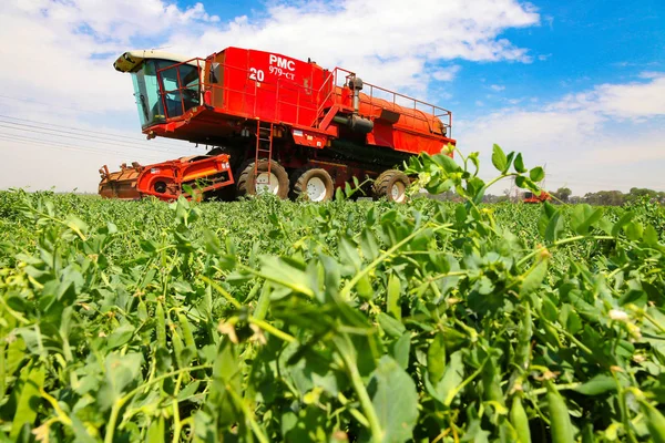 Johannesburg South Africa Жовтня 2010 Комерційне Pea Farming Combine Harvester — стокове фото