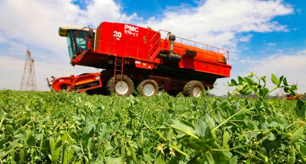Johannesburg South Africa October 2010 Commercial Pea Farming Combine Harvester — Stock Photo, Image