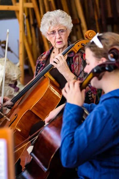 Johannesburg, Güney Afrika - Ağustos 28 2010: Müzik Okulu Orkestrası sınıf öğretmeni