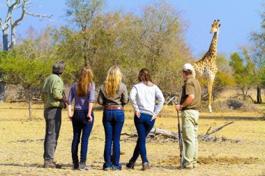 Nelspruit, Güney Afrika - Temmuz 03 2012: turistler Safari oyun bir rezerv