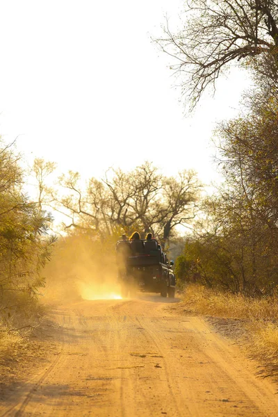 Nelspruit South Africa July 2012 Tourists Back 4X4 Safari Game — Stock Photo, Image