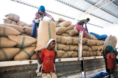 Addis Ababa, Etiyopya - 30 Ocak 2014: erkekler büyük Çantalar dolusu kahve çekirdekleri bir depoda istifleme