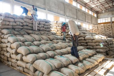 Addis Ababa, Etiyopya - 30 Ocak 2014: erkekler büyük Çantalar dolusu kahve çekirdekleri bir depoda istifleme