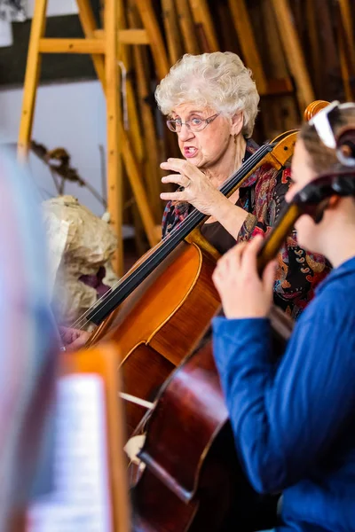 Insegnante alla classe di orchestra della scuola di musica — Foto Stock