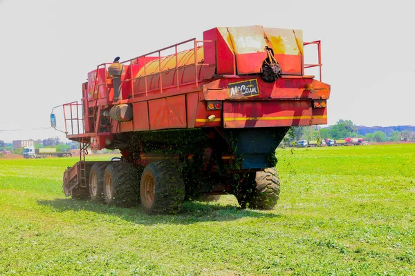 Commercial Pea Farming with a Combine Harvester — Stok Foto