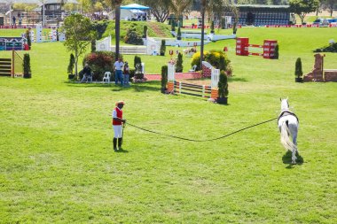 Binicilik atlama ve at binme görüntüleme