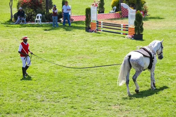 Exhibición ecuestre del salto y de la equitación —  Fotos de Stock